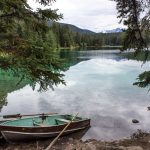 94d2812742a4b642f4b48f0bcbb25ed58d18972f (1)